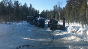 Васюганские болота... ( Из альбома Когалымский дневник)