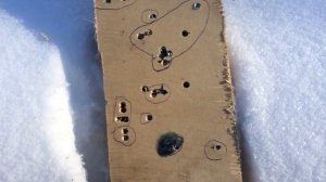 ЭДГАН " ЛЕЛЯ" 2.0.  635. Результат стрельбы на 100 метров.