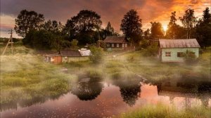 Хочу выгнать самых близких родственников на улицу. Истории из жизни