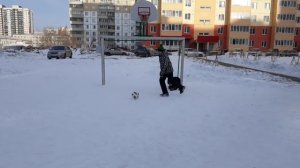 Маленький Де хеа против маленького нойера,  вратарский челлендж,  кто лучший вратарь