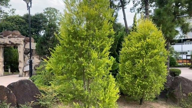 BEST VIEW KOWLOON GARDEN AT HONG KONG || TAMAN BERWISATA DI HONG KONG || VLOG TKW HONG KONG смотреть онлайн