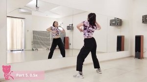 BLACKPINK 블랙핑크 - Pretty Savage FULL Dance Tutorial | Mirrored + Slow music