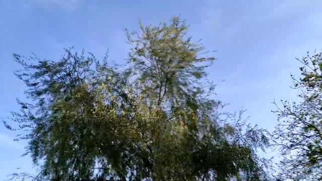 Народные приметы и поверья связанные с пальцами. смотреть онлайн