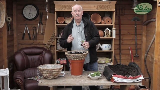 How to Plant Surfinia: Hanging Basket Guide смотреть онлайн