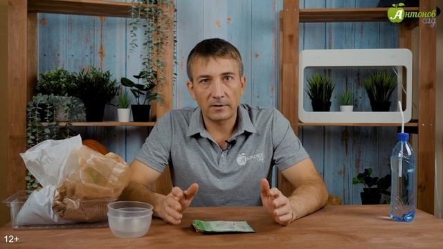 Что такое стратификация семян и как ее правильно делать? Как подготовить семена к посадке?