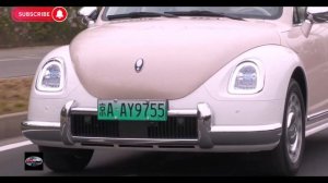 Wuling Mini EV convertible & ORA Euler Ballet Cat