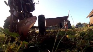 Мотоблок 6.5 л.с и обработка целины, часть 1