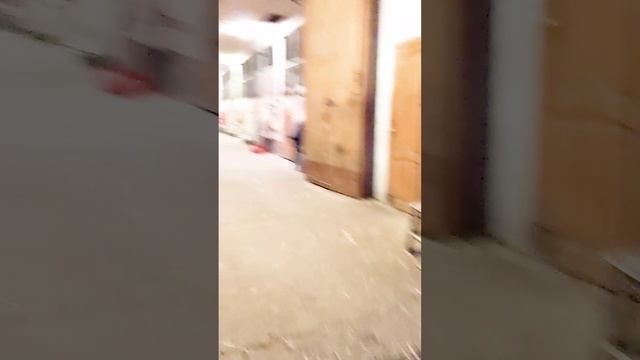 Заберем Джуника, он там хомячит травку между конюшнями