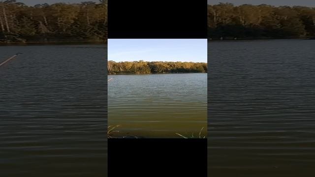 рыбалка