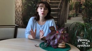 Мошки в комнатных цветах | Как вывести?