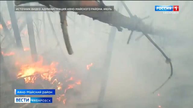 В Хабаровском крае потушены все лесные возгорания в зоне досягаемости пожарных