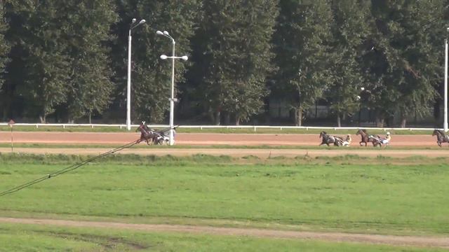 Московский ипподром. Бега. 02.09.17. Заезд 5(505) смотреть онлайн