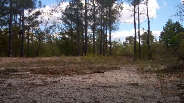 RMX250 - Burning up some sand смотреть онлайн