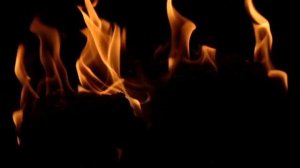 Жубревы//Запойная королева с детьми-слугами и ее крокодильи слезы// Обзор видео//