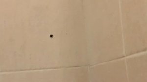 Аккумуляторный перфоратор интерскол ПА14