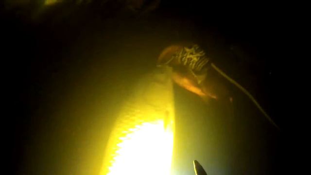 Амур 17.5 кг смотреть онлайн