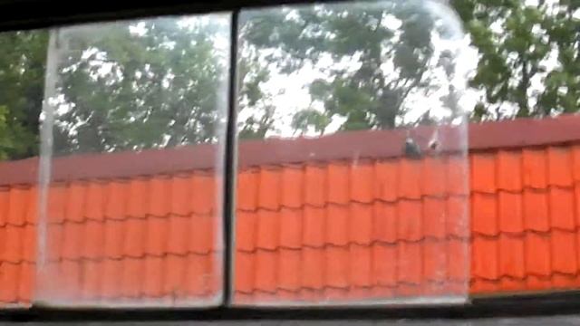 Тульский трамвайный вагон TATRA T6B5 №28 после среднего ремонта. смотреть онлайн