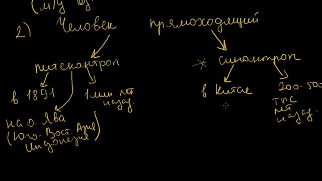 Становление человека (Урок 2)