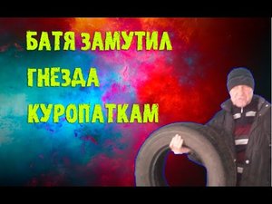 Батя замутил гнезда в курятник. (несутся теперь в 2раза больше)