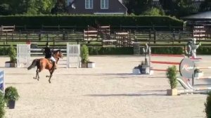 "Böckmanns Lord Pezi Junior" - CSI Valkenswaard 2019