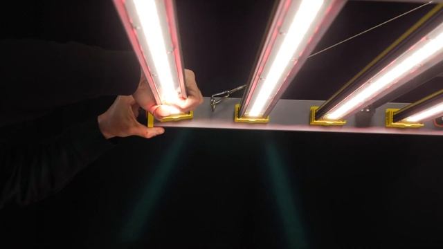 Voltgrow Storm 8 5x5 LED grow light PAR test and review смотреть онлайн