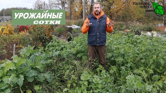 Не успели посеять СИДЕРАТЫ? НЕ БЕДА! Вот несколько вариантов!