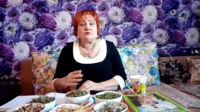 Травы для лечения бронхита и пневмонии.