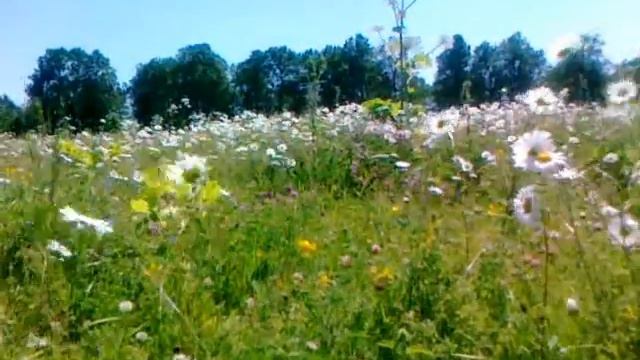 Рай смотреть онлайн