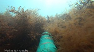 Реальная подводная охота на крупного лобана.Черное море июнь 2017. 4k видео