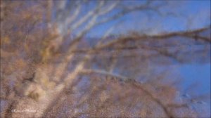 #Крым #Алушта ~Горное озеро Кастель-прекрасное место для отдыха~