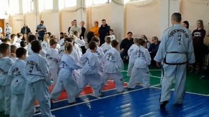Тхэквондо. Аттестация на белый пояс