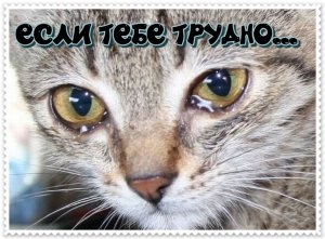 Если тебе трудно.....