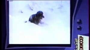 "Сам себе режессер". РТР. 1996г.