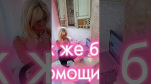 17 кошек в квартире - чистота и красота. Долой стереотипы, что много животных имеют только чокнутые