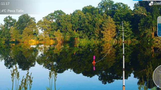 My Fishing World #2 // Как поймать карпа зеркального смотреть онлайн