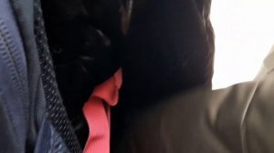 Что сегодня произошло в школе? Заминировали школу?