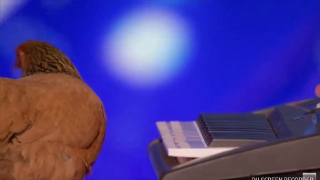 Курица играет на пианино в шелк смотреть онлайн