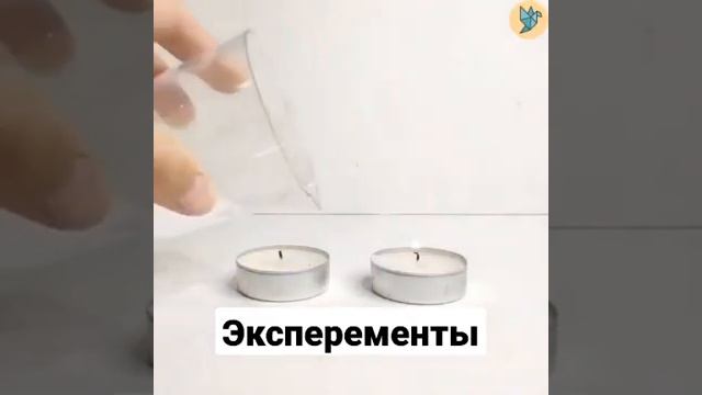 Эксперементы #детскиеподелки #поделкисвоимируками #детскоетворчество #детскоевидео
