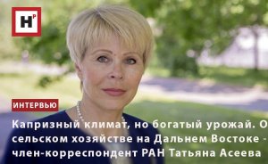 КАПРИЗНЫЙ КЛИМАТ, БОГАТЫЙ УРОЖАЙ. О СЕЛЬСКОМ ХОЗЯЙСТВЕ НА ДАЛЬНЕМ ВОСТОКЕ ― ЧЛ.-КОРР. РАН Т. АСЕЕВА