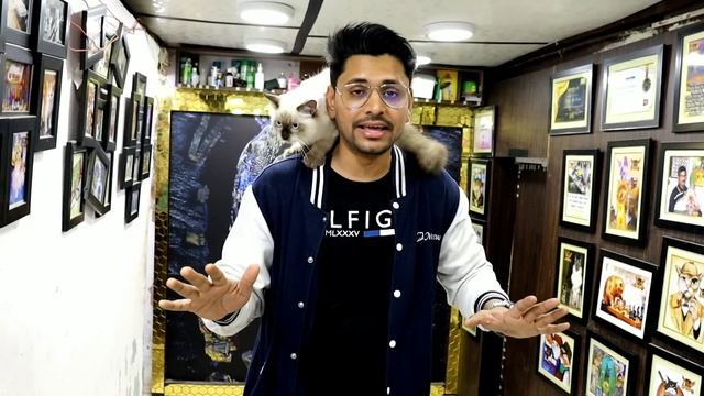 Pet market in Hyderabad | Rs-75/-| ??| Himalayan Cat| Persian cat | Fishes | MushiTube lifestyle смотреть онлайн