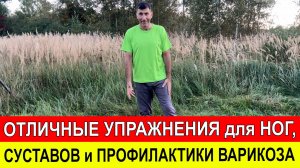 Отличные упражнения для ног, суставов и профилактики варикоза