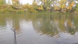 РЫБАЛКА НА ИРТЫШЕ.