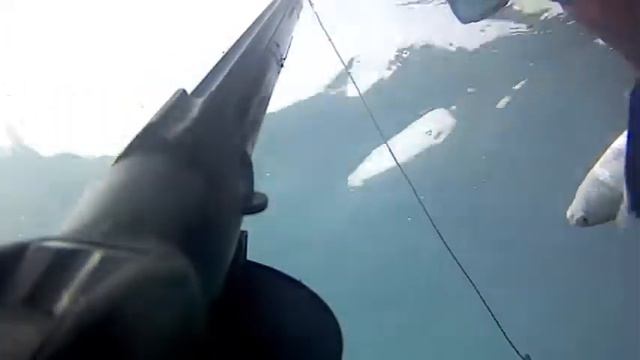 Подводная охота. Турция. смотреть онлайн