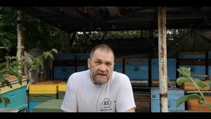 Как сохранять и какое время неплодных маток.