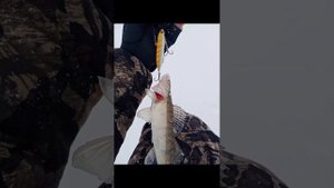 Охота и рыбалка в Пермском крае!!!