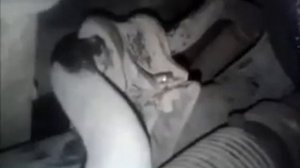 Вито 638 замена резинок стабилизатора. Vito 638 bushings replacement stabilizer.