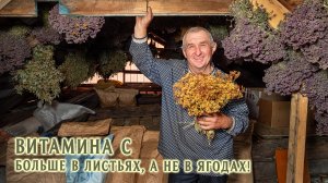 Чем лечатся в поселении бывшие городские? Травами!