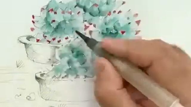 Time-lapse - Sempervivum tectorum var. calcareum drawn by Kamel O. Mahadin смотреть онлайн