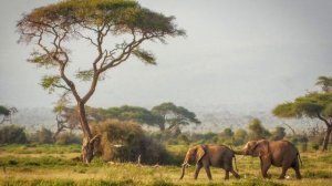 Притча: "О позитивном мышлении". читает ЛюМиСа