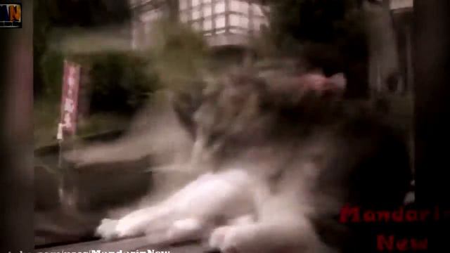 Ржачные приколы 2014 декабрь! Смешное видео 2014! юмор смех! смотреть онлайн